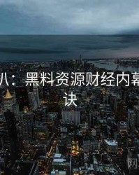 独家深扒：黑料资源财经内幕爆火秘诀