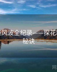 最新抄袭风波全纪录——探花精选爆火秘诀