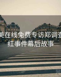 亚洲欧美在线免费专访郑调查员：网红事件幕后故事